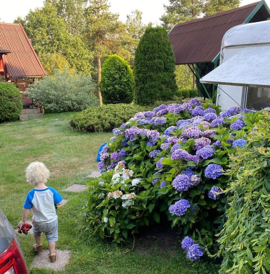 Domek Matylda- Kaszuby Villa Nowe Czaple  ภายนอก รูปภาพ