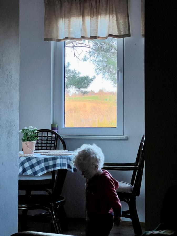 Domek Matylda- Kaszuby Villa Nowe Czaple  ภายนอก รูปภาพ